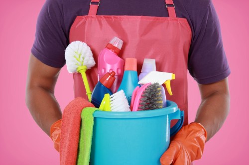 Professional pet stain treatment in a Fulham home carpet