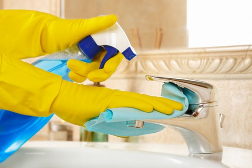 Domestic cleaner working in a Fulham living room