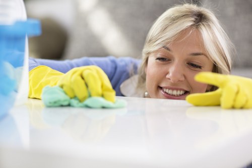 Odour removal cleaning for a pet accident on upholstered furniture