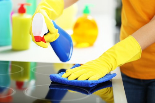 Stain removal and odour treatment for rugs in Fulham