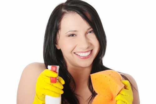 Domestic cleaning service for a Fulham apartment